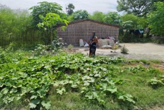 Women are not only growing food in kitchen gardens but also transforming their communities and paving the way for healthier and more sustainable futures
