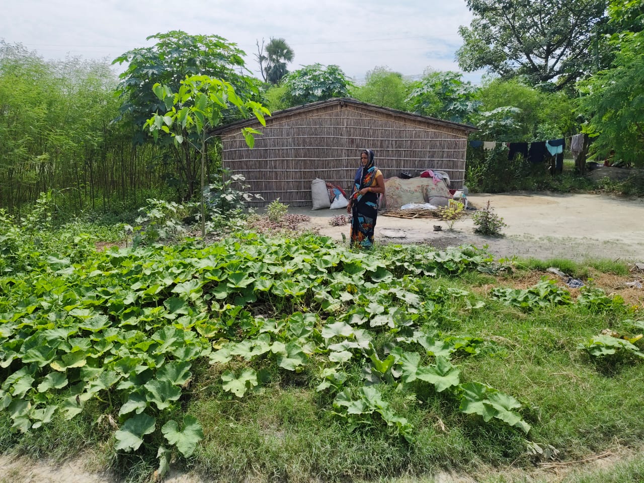 Women are not only growing food in kitchen gardens but also transforming their communities and paving the way for healthier and more sustainable futures