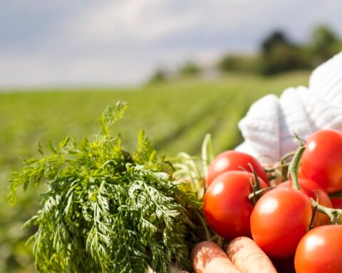 Precision agriculture