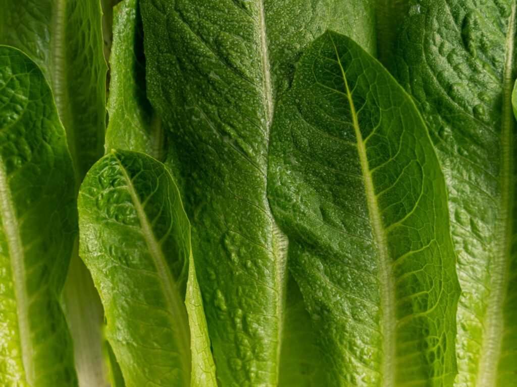 Photo by Antoni Shkraba