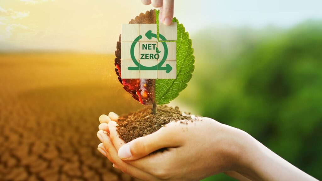 Netzero_SustainabilityKarma