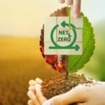 Netzero_SustainabilityKarma