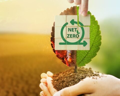 Netzero_SustainabilityKarma