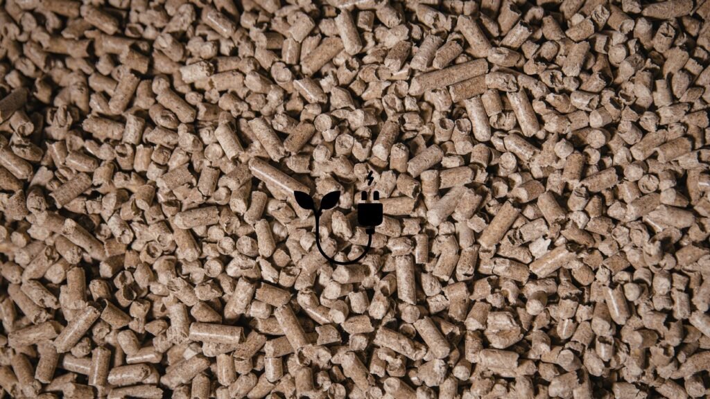 Biomass_SustainabilityKarma