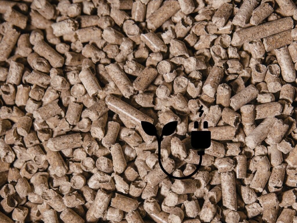 Biomass_SustainabilityKarma