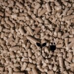 Biomass_SustainabilityKarma