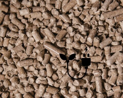 Biomass_SustainabilityKarma