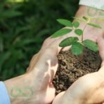 Sustainability Conference